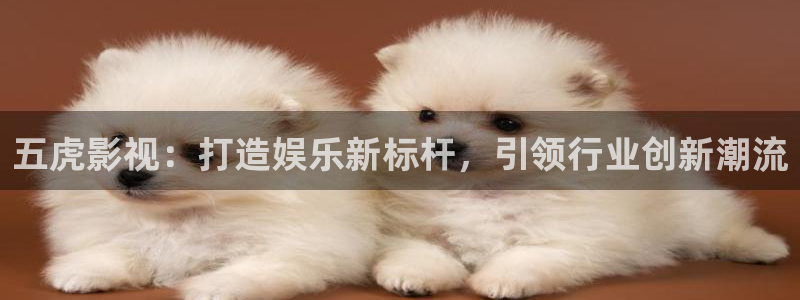 神马第九电影院：五虎影视：打造娱乐新标杆，引领行业创新潮流