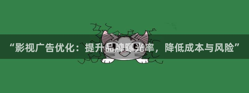 第九影院最新：“影视广告优化：提升品牌曝光率，降低成本与风险”