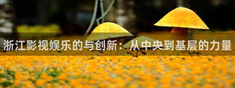 大侦探第九季星辰影院：浙江影视娱乐的与创新：从中央到基层的力量
