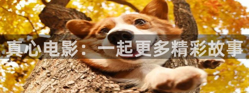 第九影院免费看电视剧在线播放：真心电影：一起更多精彩故事