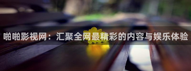第九影院第九影院：啪啪影视网：汇聚全网最精彩的内容与娱乐体验