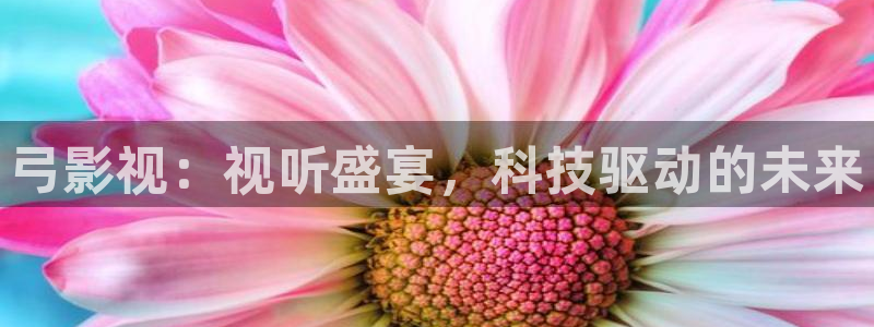 达达兔第九神马影院：弓影视：视听盛宴，科技驱动的未来